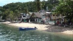 Buck wild shows sabang beach puerto galera philippines